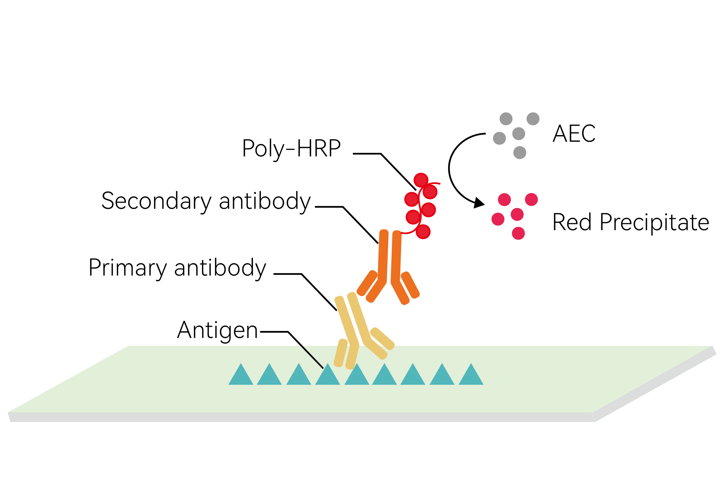 Principle of AEC chromogenic detection