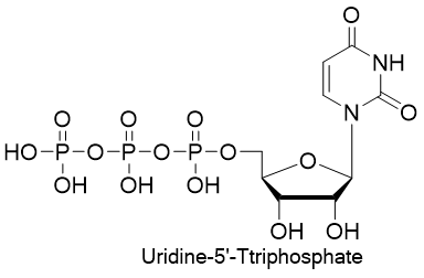 100 mM UTP Sodium Solution