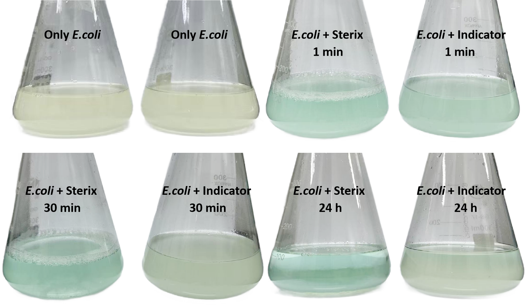 MB decolorization experiment chart
